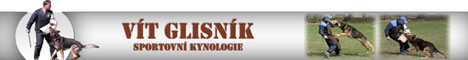 http://www.glisnik.com - Sportovní kynologie - Vít Glisník