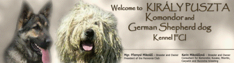 http://www.komondor.cz