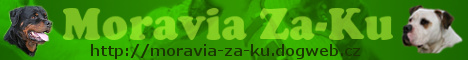 http://moravia-za-ku.dogweb.cz