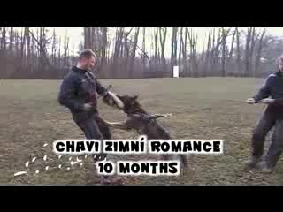 Chavi Zimní romance